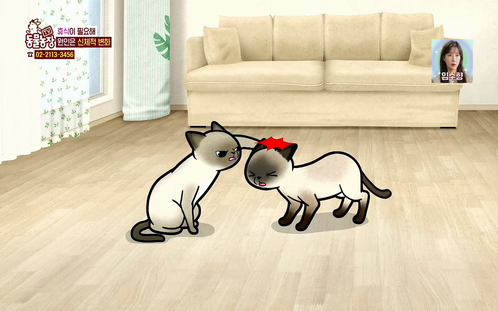 TV 동물농장.E1067.220501p.H264-F1RST.mp4_20220501_183045.709.jpg