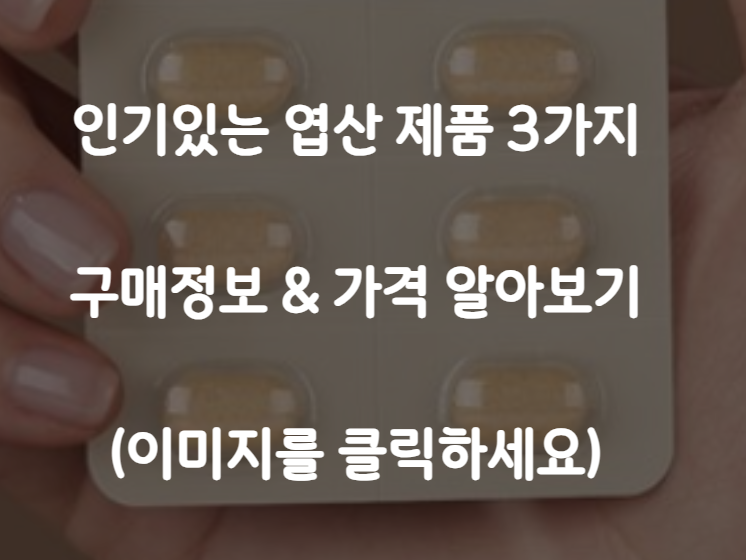 엽산 효능 제품