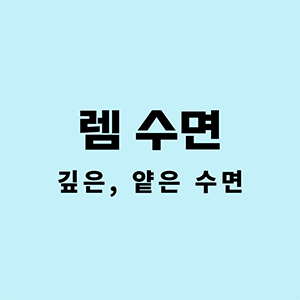 렘수면