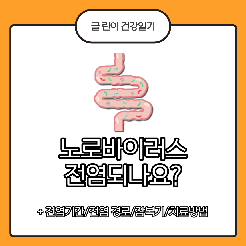  노로바이러스 전염되나요?