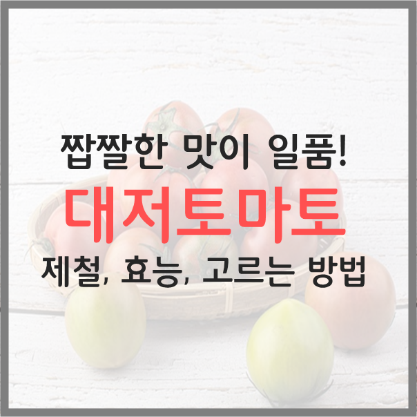  대저 짭짤이 토마토 제철, 효능, 고르는 방법 등 총 정리