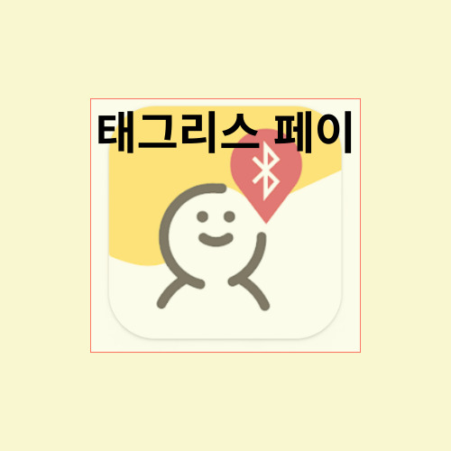  태그리스 페이 사용방법 주의할점