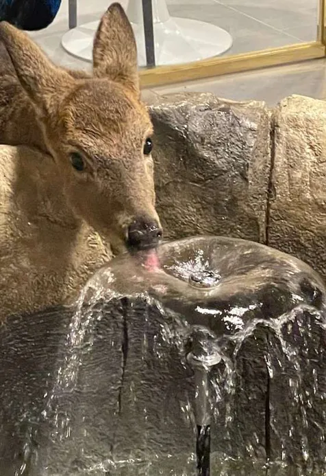 와우쥬 거제도점