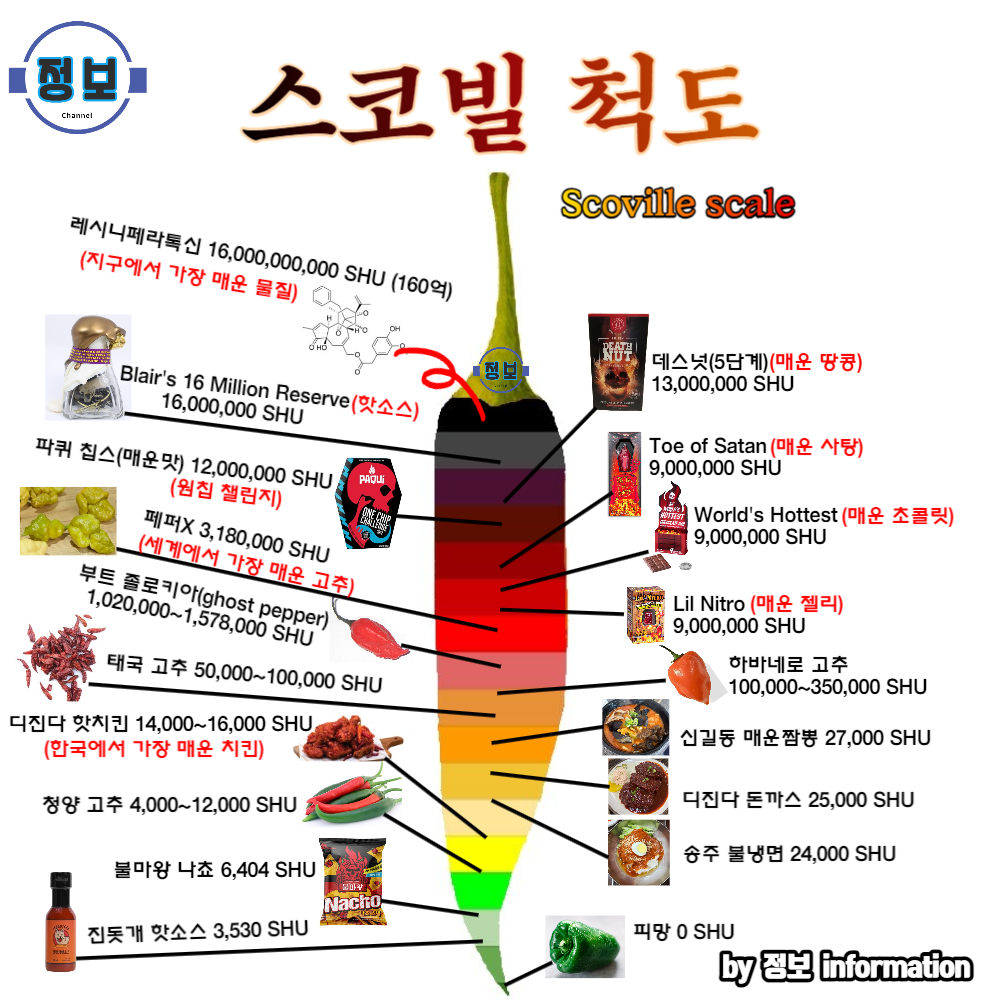 크리스마스 섬달러의 문화적 의미 - FasterCapital, image size:1000x1000