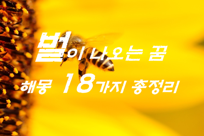  벌꿈 해몽 18가지 총정리