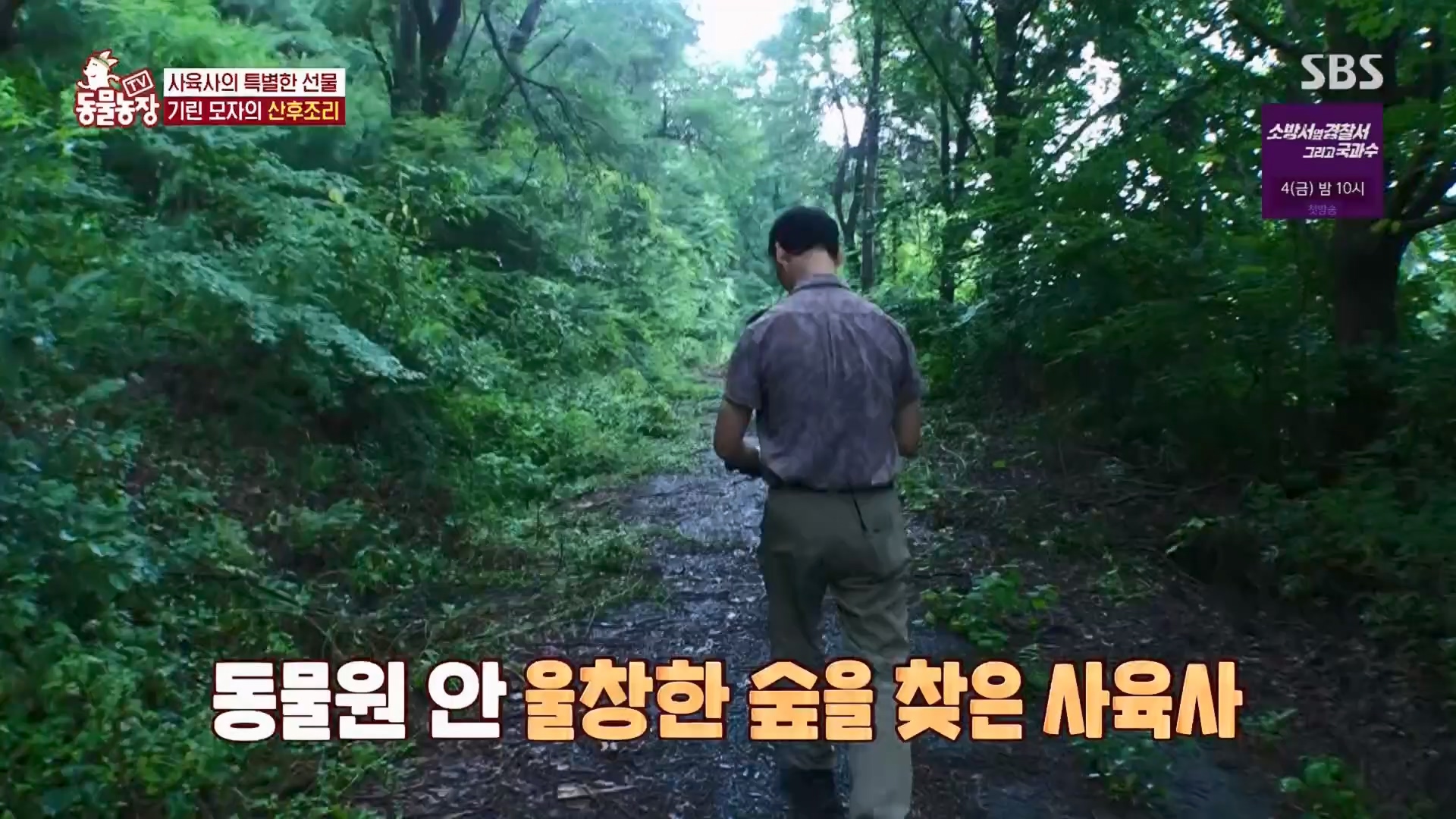 TV 동물농장.E1130.230723p.H264-F1RST.mp4_20230723_171213.357.jpg