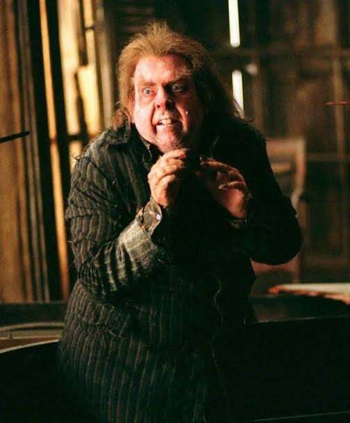 Peter-Pettigrew