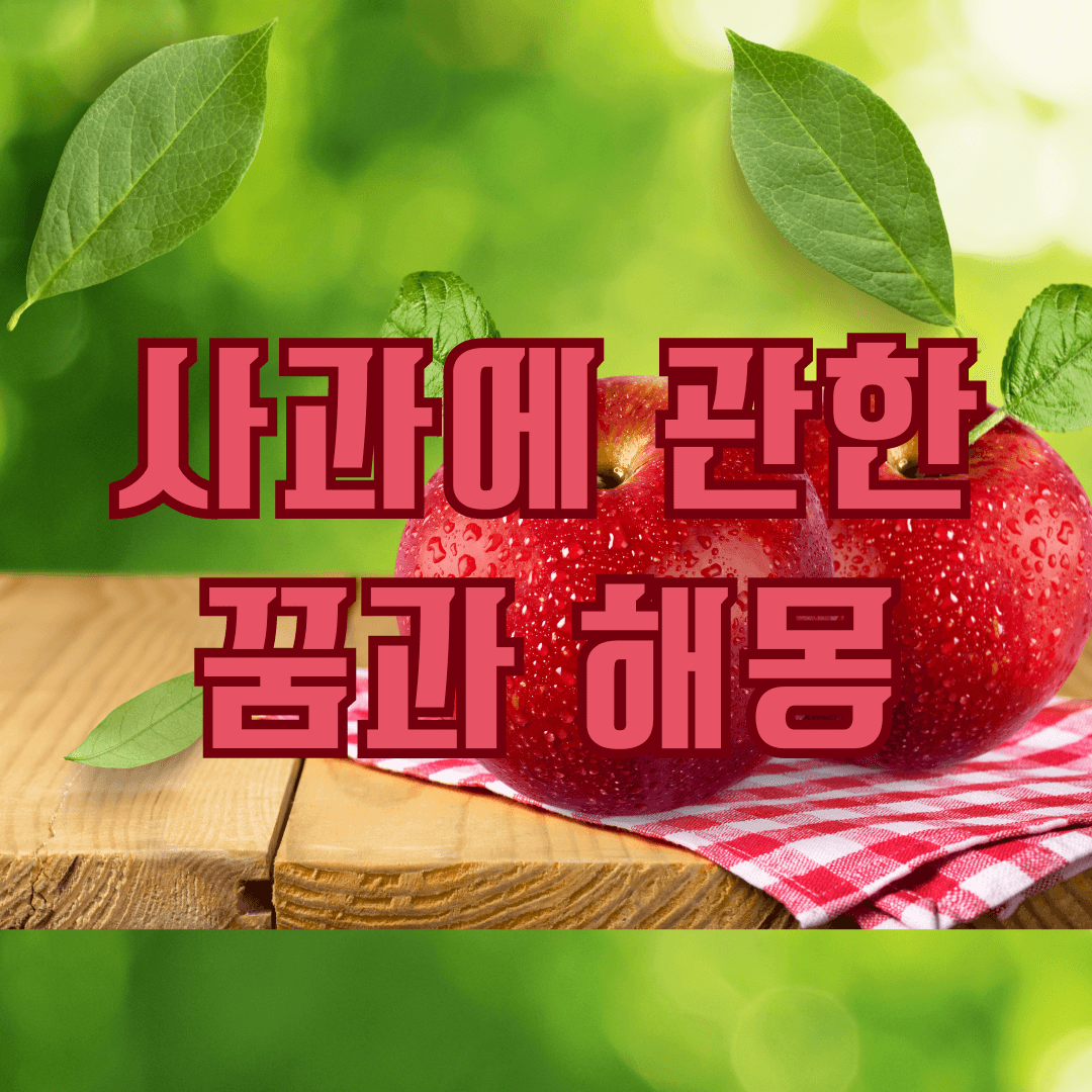 사과에[ 관한 꿈과 해몽 배너