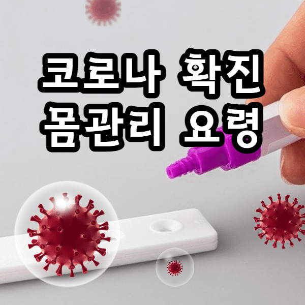  코로나 확진 증상 및 자가격리 초기 몸 관리 요령 네 가지