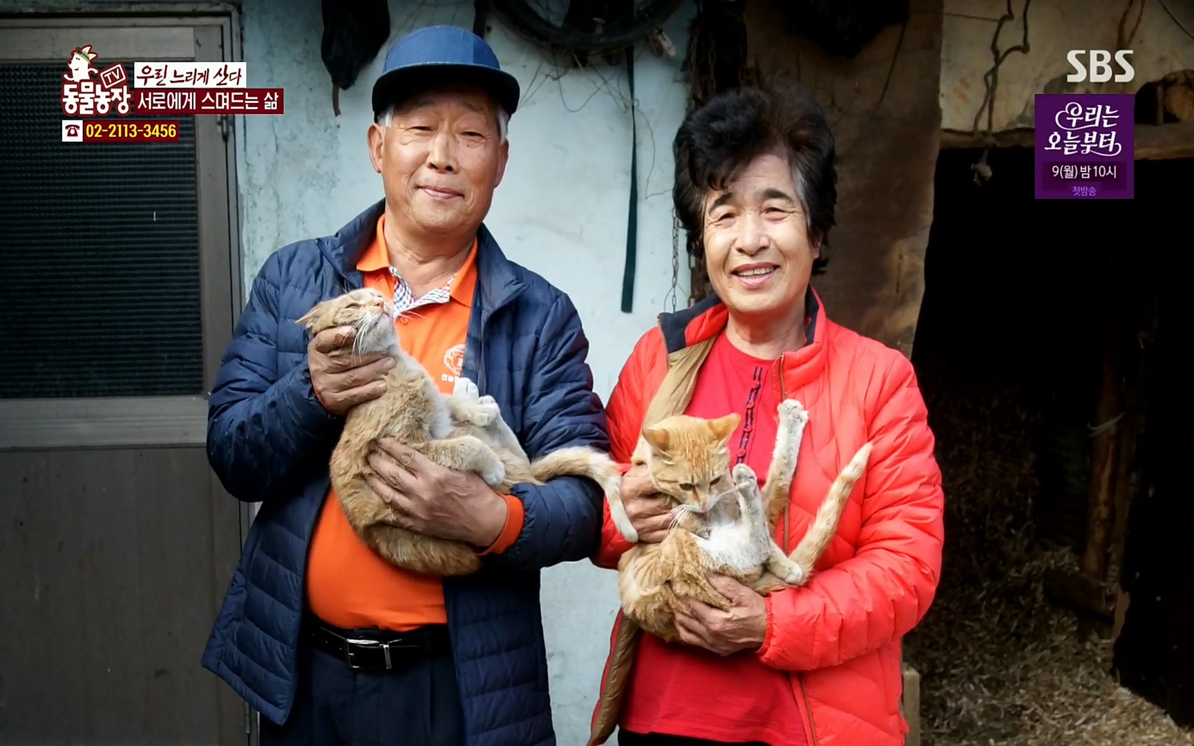 TV 동물농장.E1067.220501p.H264-F1RST.mp4_20220501_184758.478.jpg