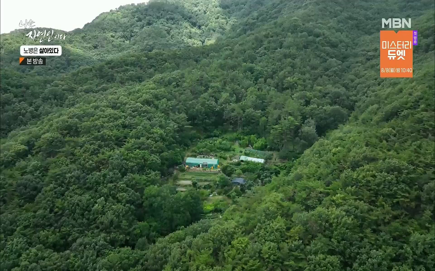 나는 자연인이다.E512.220727p.H264-F1RST.mp4_20220728_200914.616.jpg