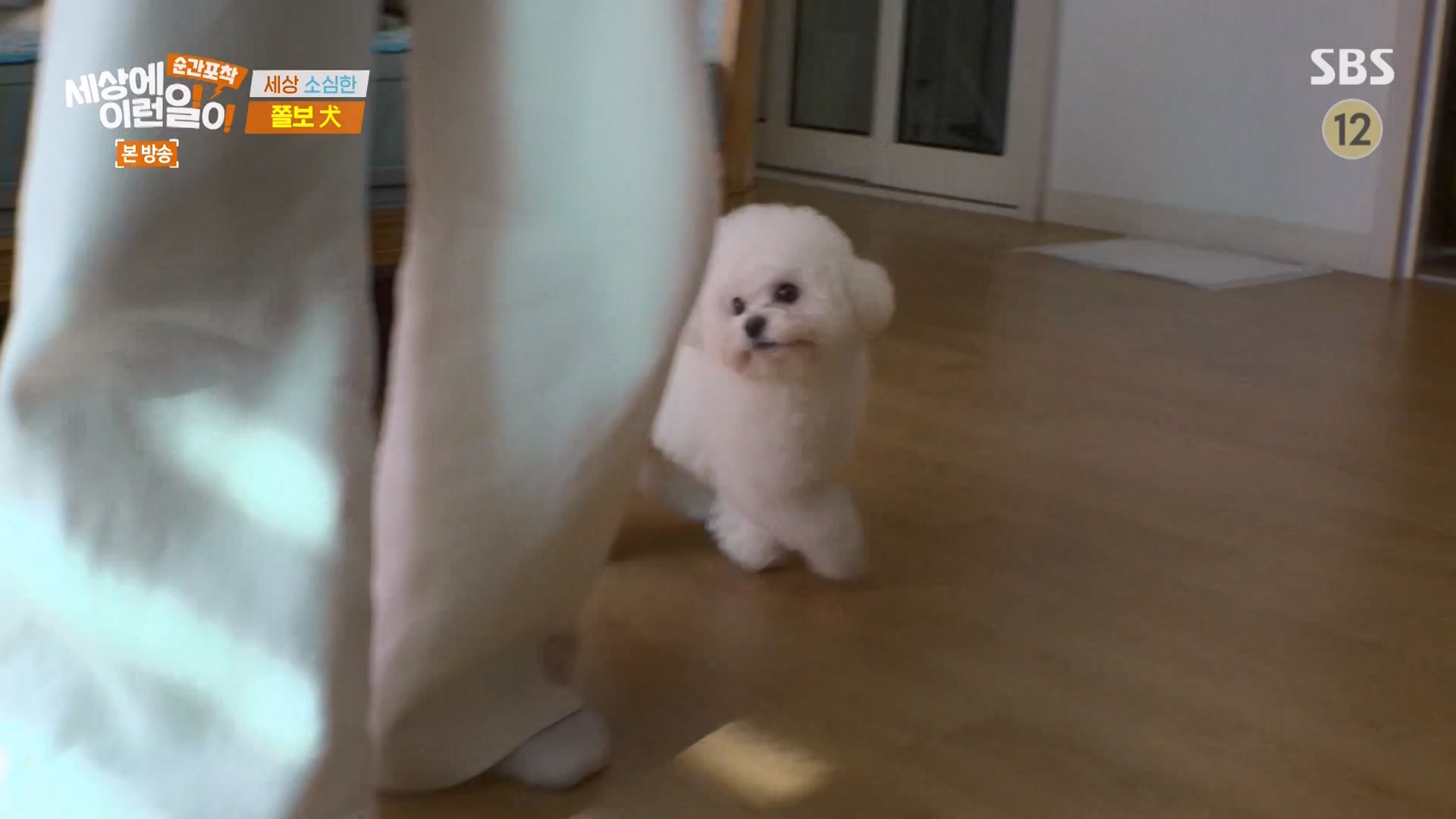 순간포착 세상에 이런일이.E1263.240203p-NEXT.mp4_20240204_164017.253.jpg