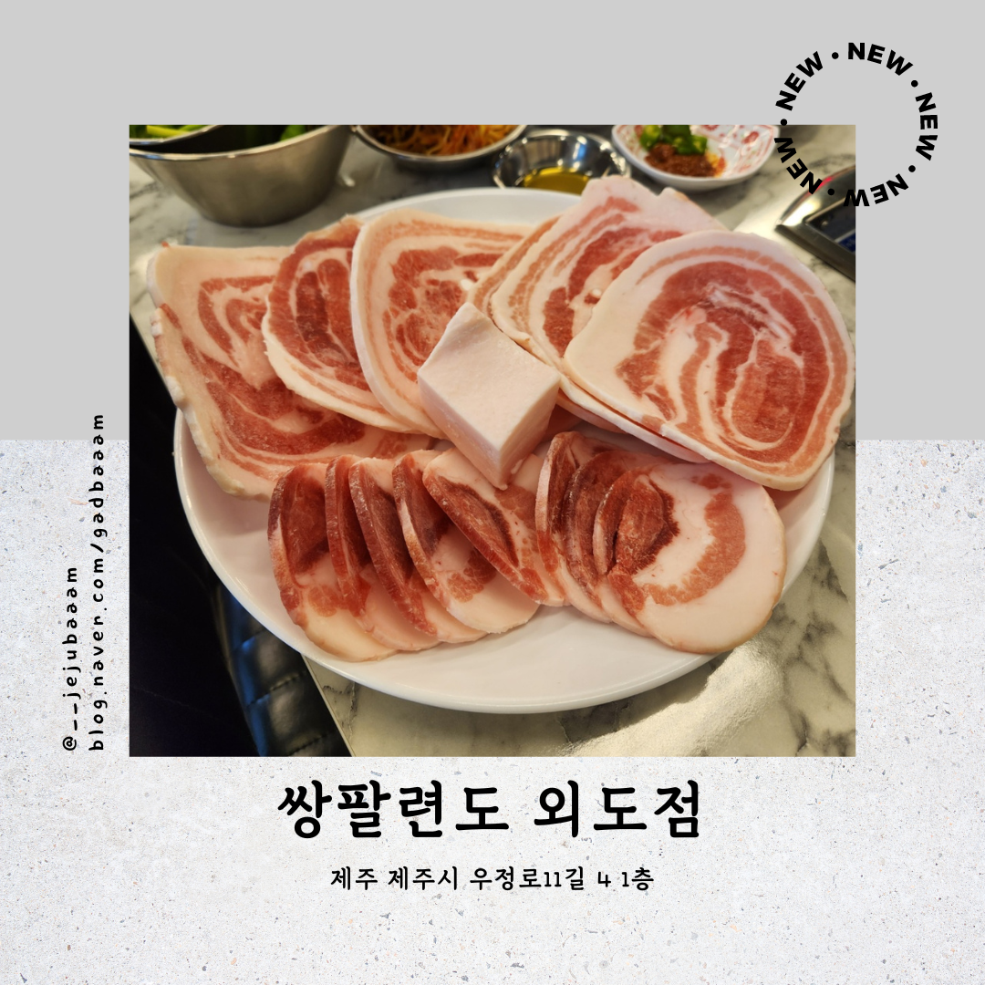 쌍팔련도 이미지