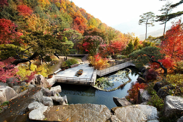 단풍 명소