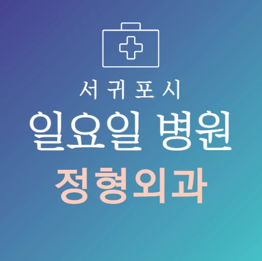 서귀포시-일요일-정형외과-문여는곳-주말에-진료하는-서귀포-24시간-정형외과-병원