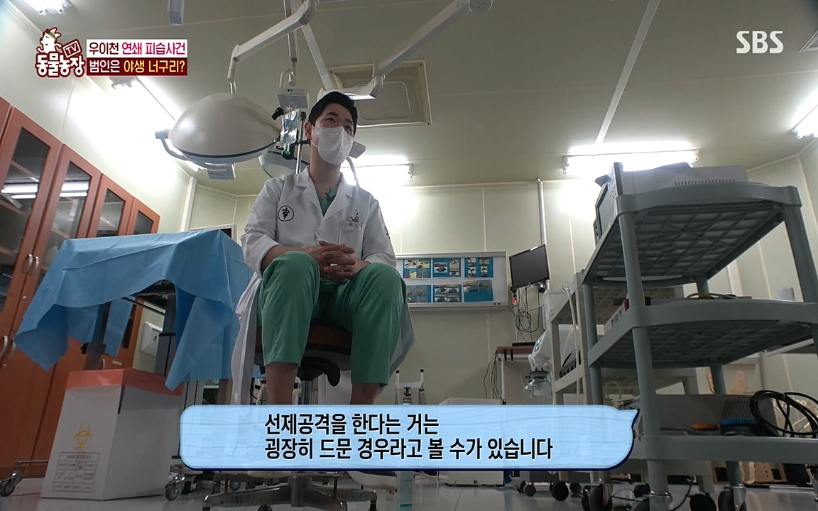 TV 동물농장.E1080.220732p-NEXT.mp4_20220731_174213.870.jpg