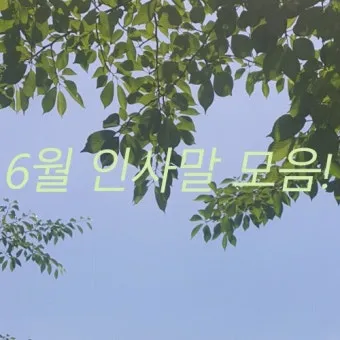 6월 인사말 모음 상황별 이미지 일러스트_8