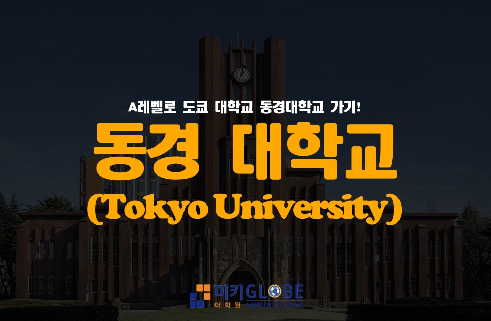 동경대학교 대학교 (Tokyo University) 가기, 일본 대학 입학 요건 6