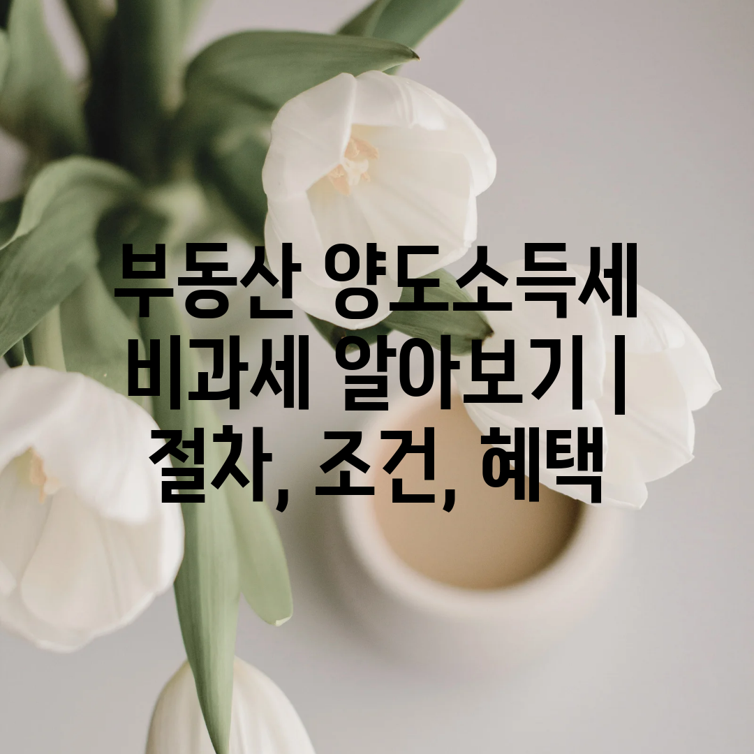 부동산 양도소득세 비과세 알아보기  절차, 조건, 혜택