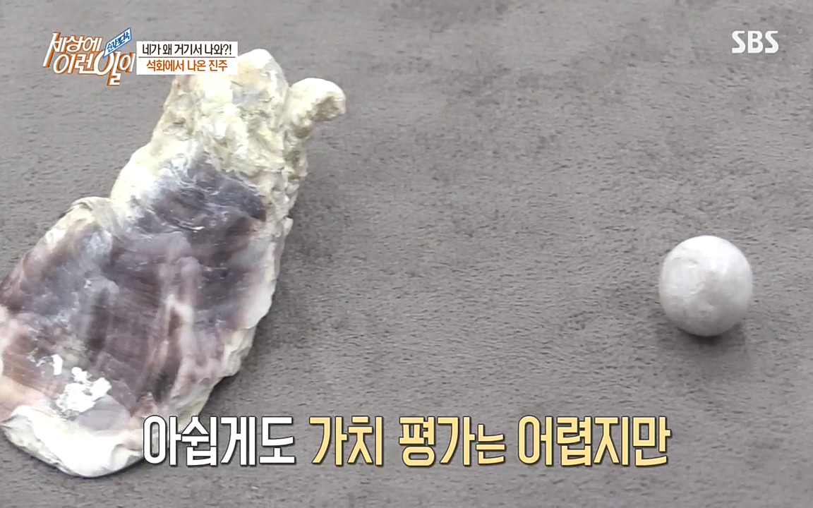 순간포착 세상에 이런일이.E1182.220532p-NEXT.mp4_20220601_171700.371.jpg