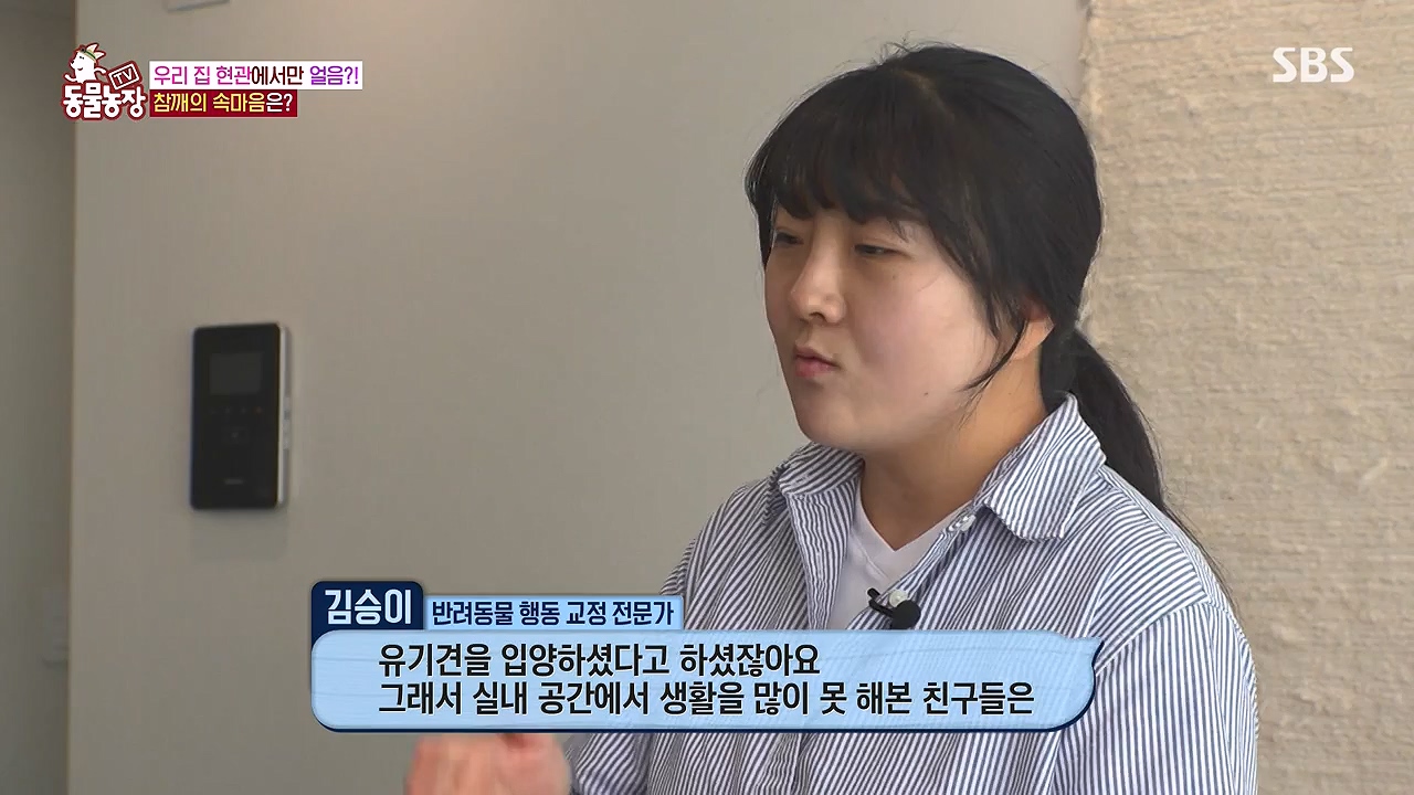 TV 동물농장.E1177.240624p-NEXT.mp4_20240623_163800.807.jpg