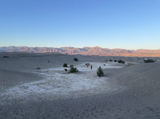 일몰을 감상하기 좋은 메스키트 플랫 샌드 듄(Mesquite Flat Sand Dunes)