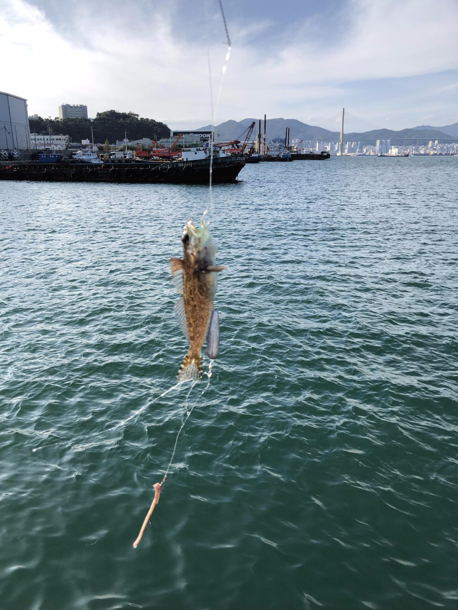  부산 바다낚시 초보자 포인트 소개 - 영도 신방파제