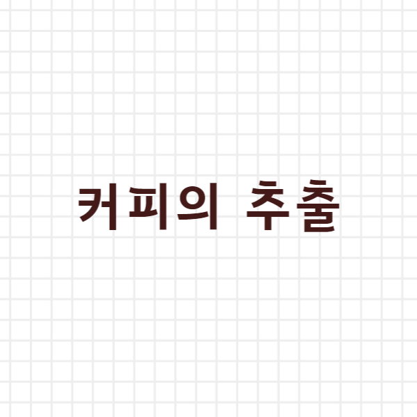  커피의 추출