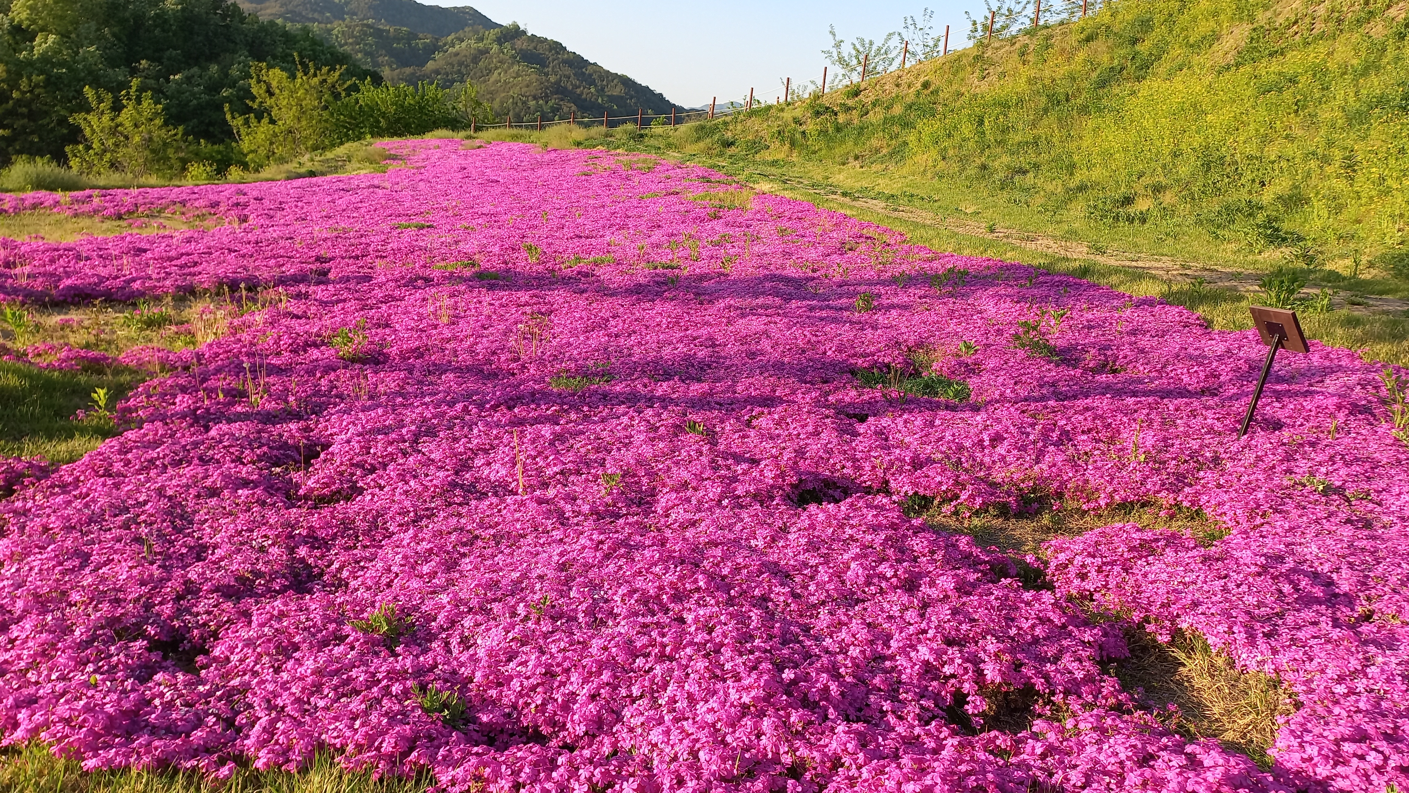 안동 선성현문화단지와 선성 산성공원 풍경 - 휴식같은 여행으로의 초대 이미지