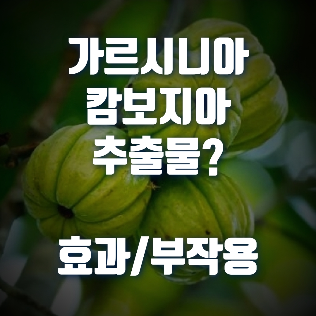  체지방 감소에 도움을 주는 가르시니아 캄보지아 추출물이란? 효능, 부작용, 섭취방법