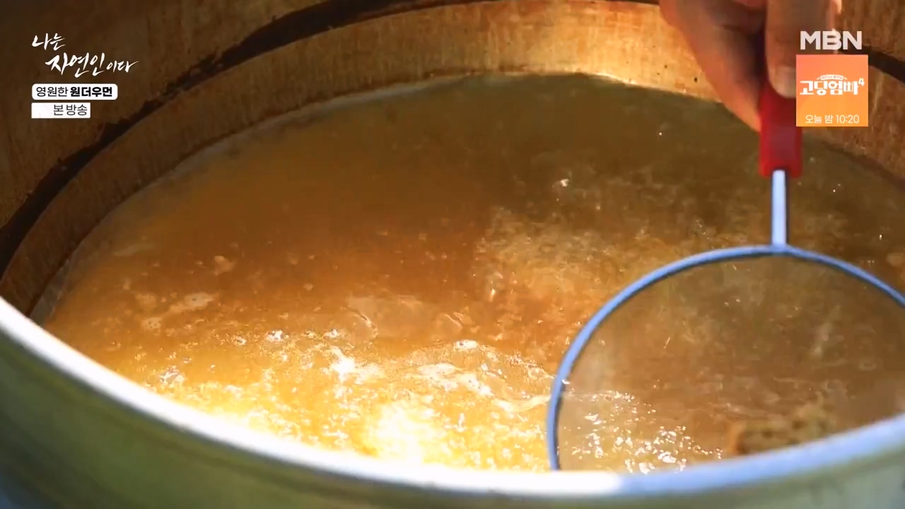 나는 자연인이다.E606.240523p-NEXT.mp4_20240523_195550.154.jpg