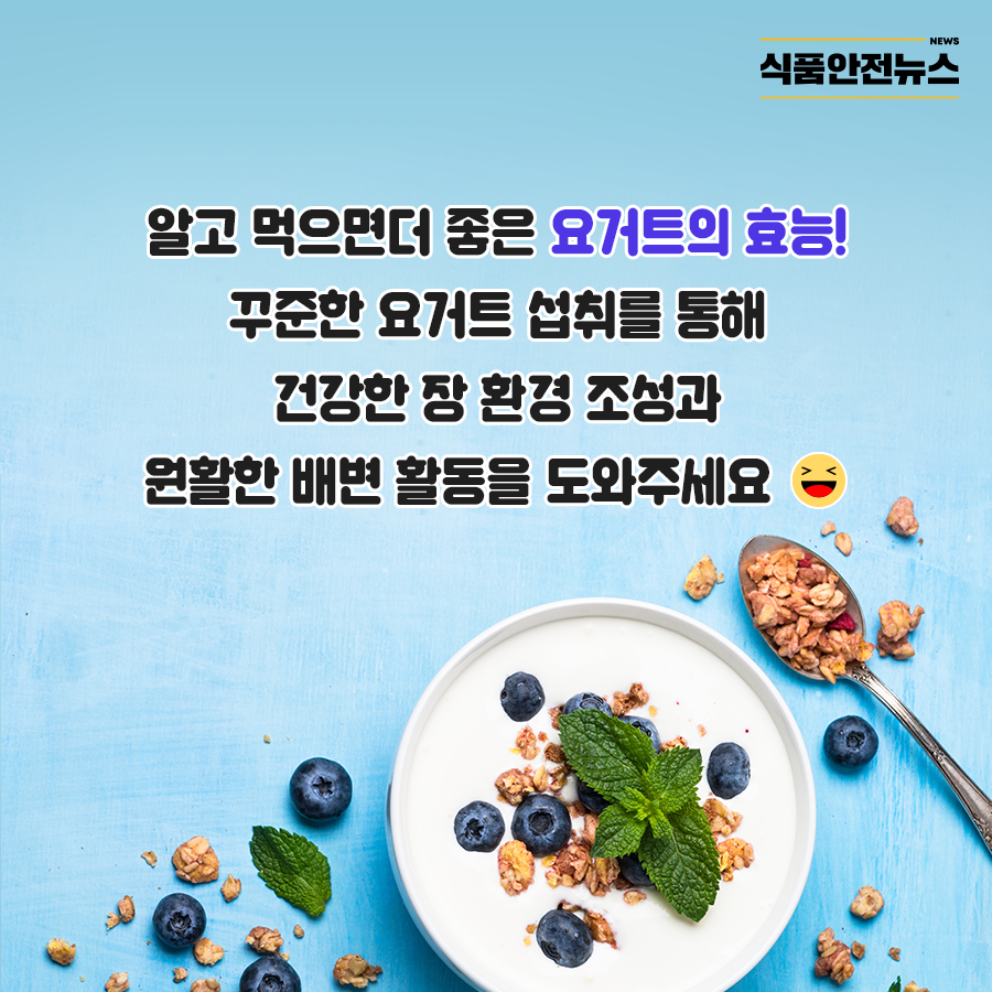라이프룻 이미지