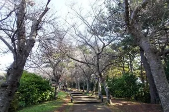 제주시볼거리 6월 제주도 여행 볼거리 제주시 볼거리 한라수목원 완벽 가이드_21