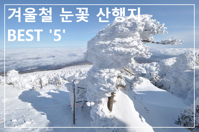  겨울철 눈꽃 산행지로 유명한 BEST '5'
