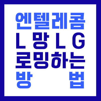 앤텔레콤 L망 로밍방법 섬네일