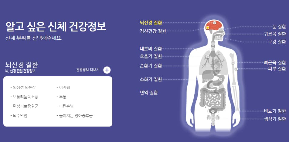 알고싶은-신체질환