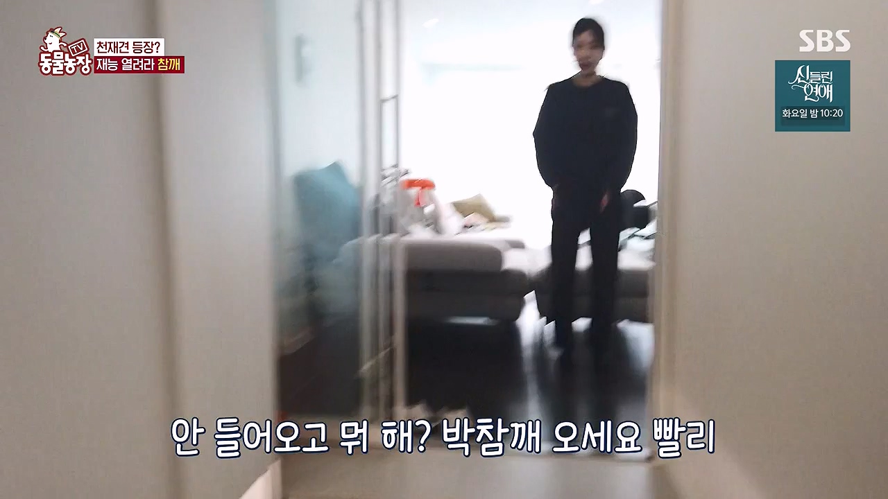 TV 동물농장.E1177.240624p-NEXT.mp4_20240623_163753.824.jpg