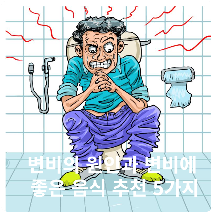 변비의 원인