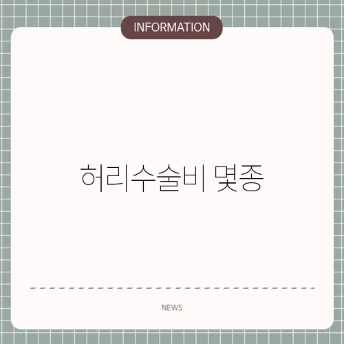 허리수술비 몇종