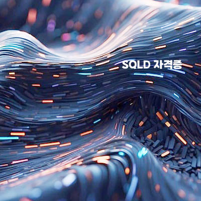 SQLD 자격증5