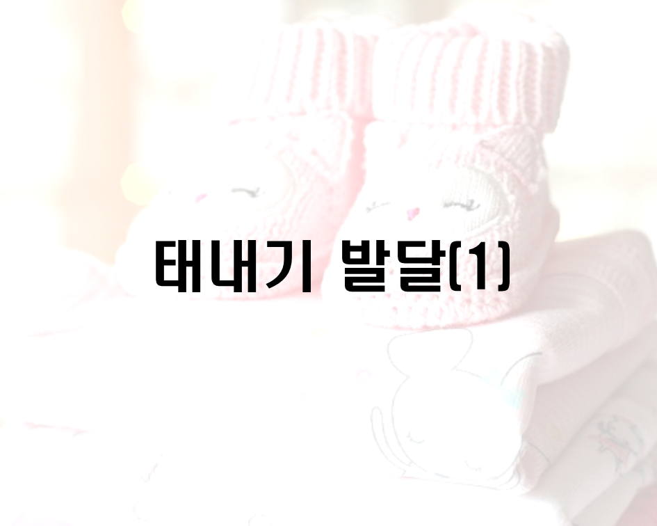  태내기 발달(1)