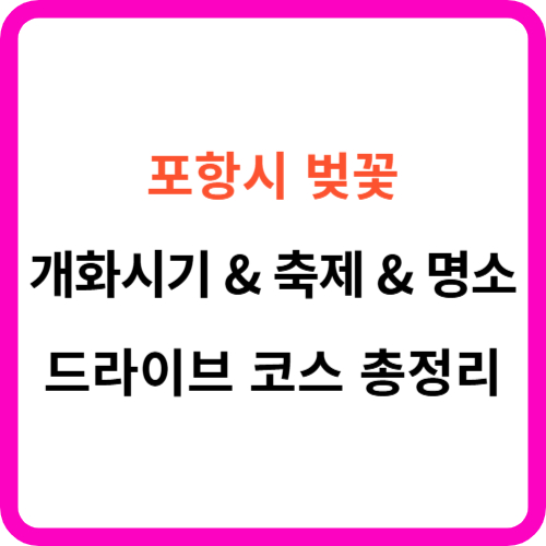 포항시 벚꽃 개화시기 축제 명소 드라이브 코스 를 한 눈에!