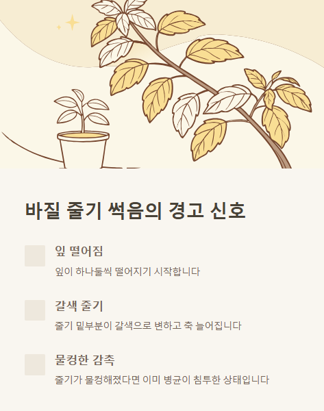 바질 줄기 썩음의 경고 신호