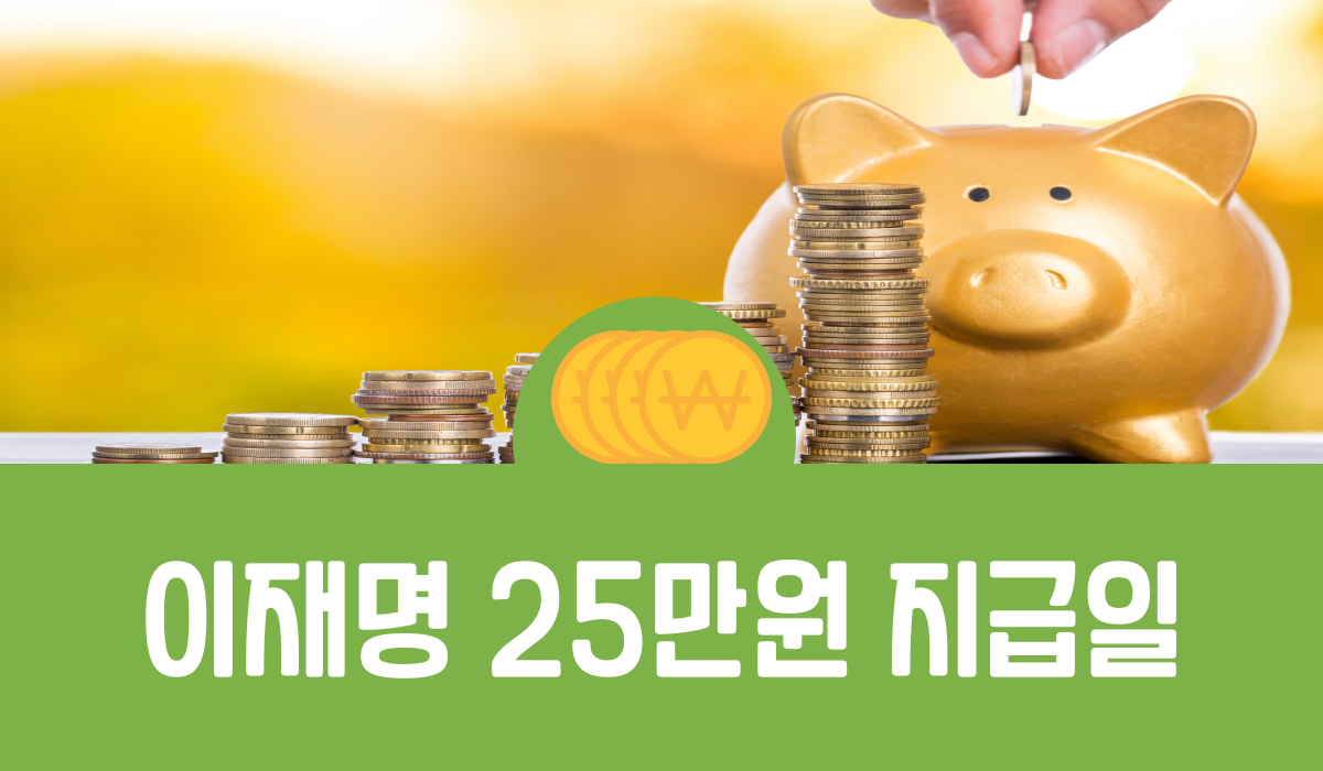 이재명 25만원 지급일