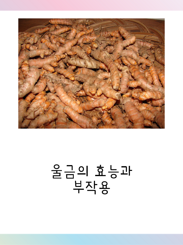  울금의 효능과 부작용에 관하여