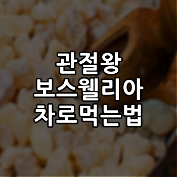  슈퍼푸드 관절왕 보스웰리아 차로 먹는법