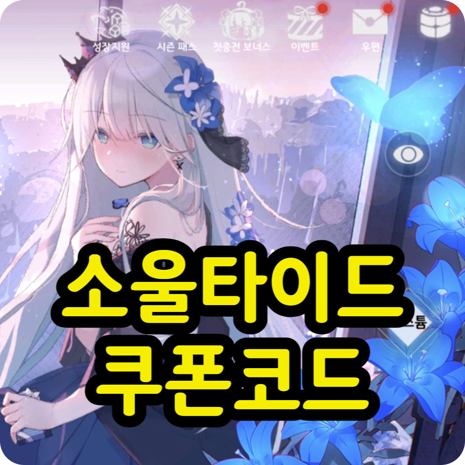  소울타이드 쿠폰 코드 모음, 사용방법