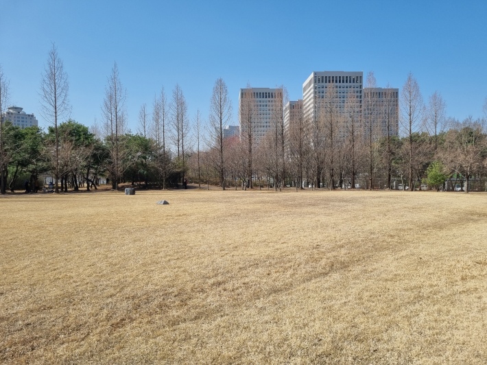 잔디밭