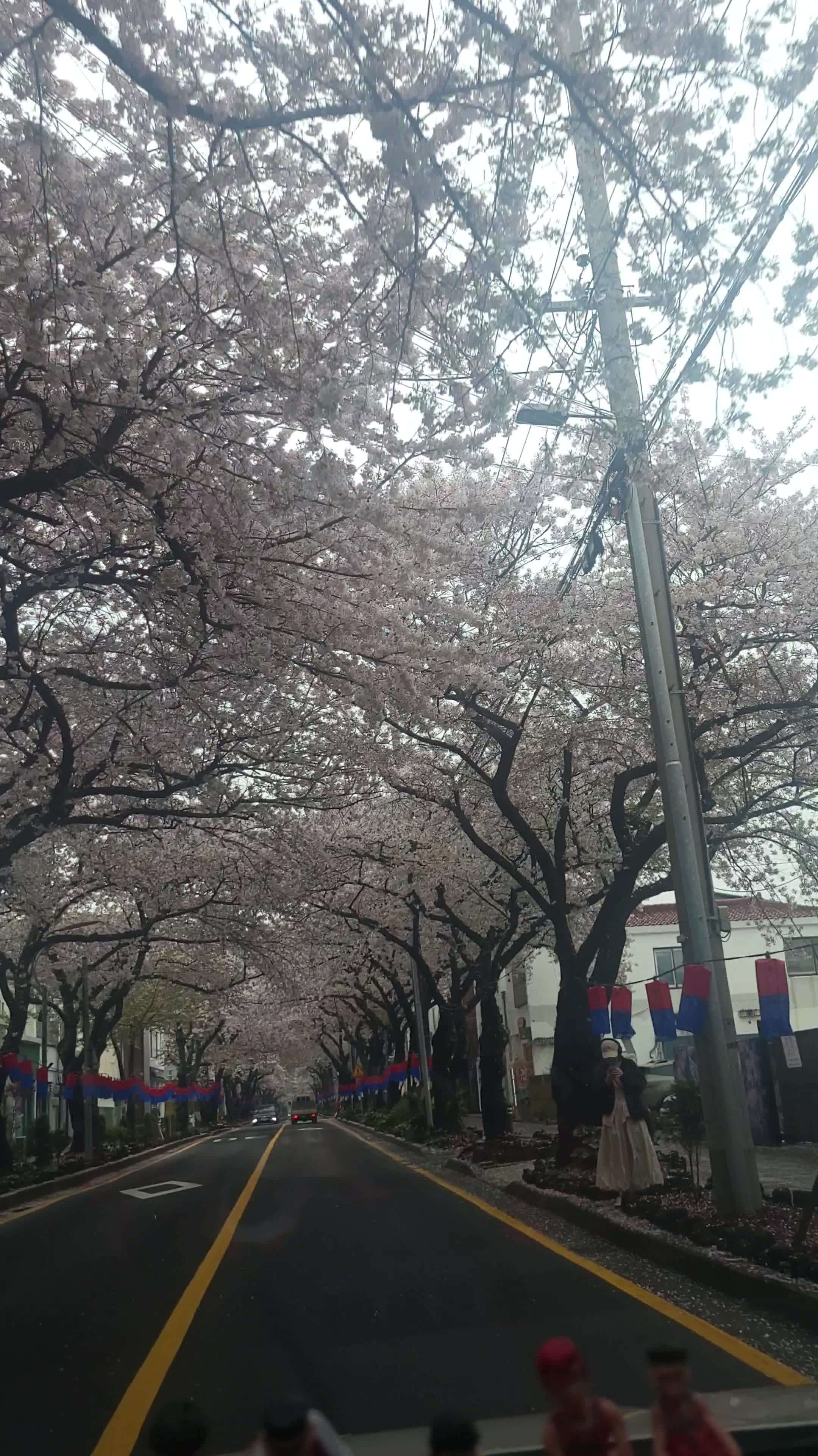 움직이는 차안에서 촬영한것이라 화질이 떨어짐