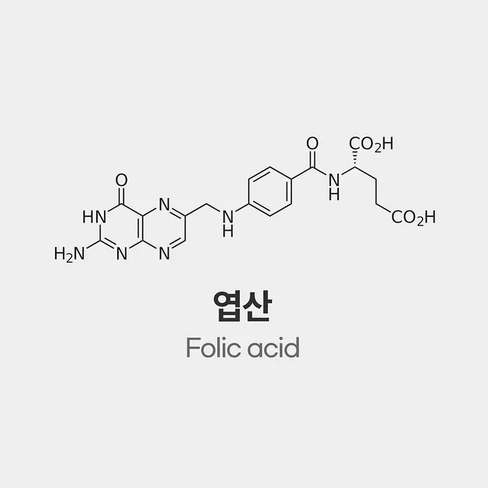 엽산(Folic Acid)